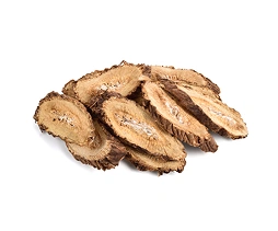 Burdock_Root_Extract